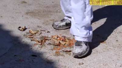crab sneakers