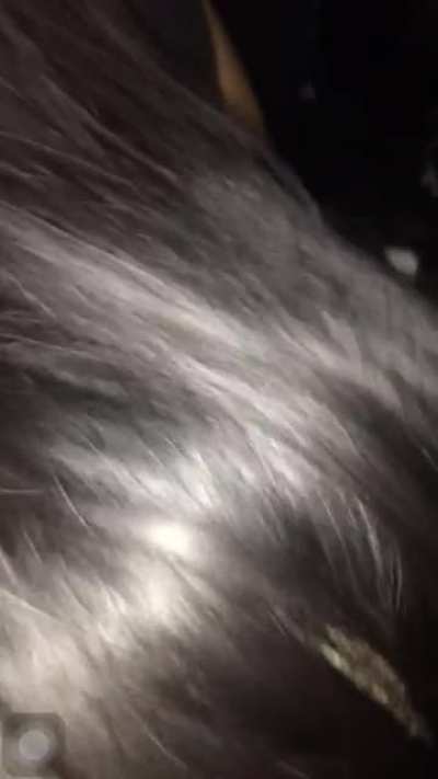 Anyone know who this is 😎