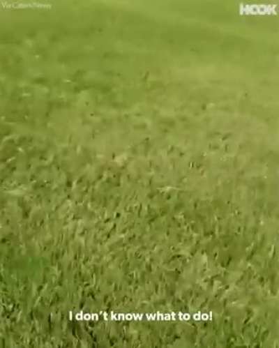 I was told this belongs here