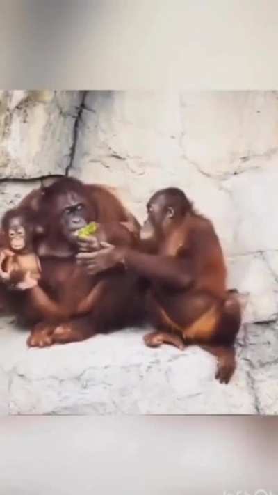 Mums love to share food!