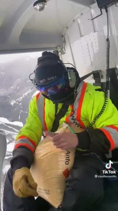 Avalanche technician