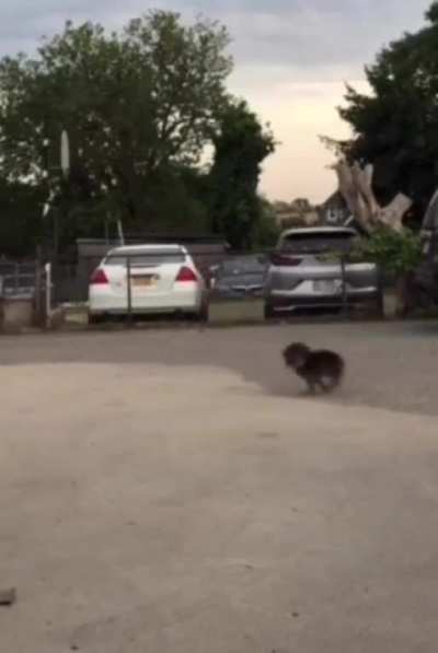 Maybe maybe maybe