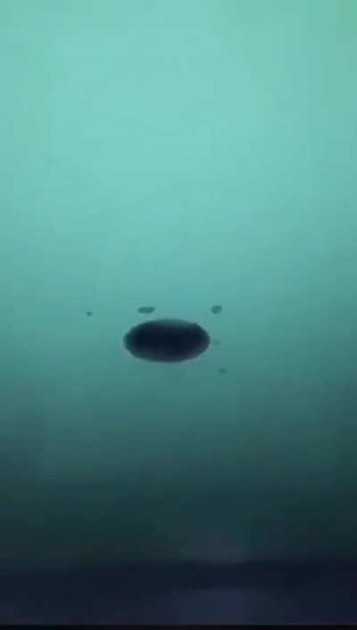 hole in the wall