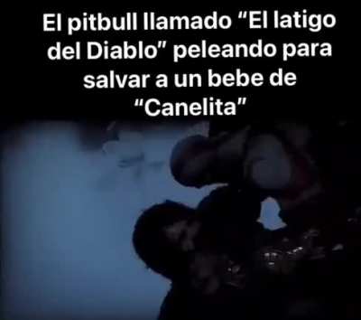 Dedicado al Vilches