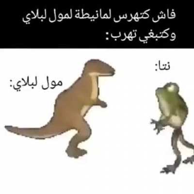 ¿¥