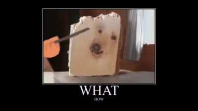 Wut?