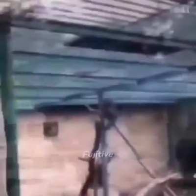 ●