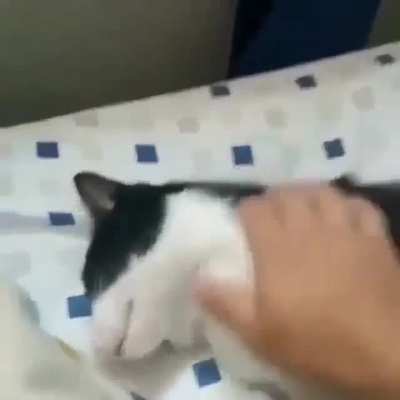 Despierta po wn