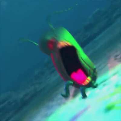 cursed_plankton