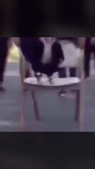 Monkey a whole ass vibe