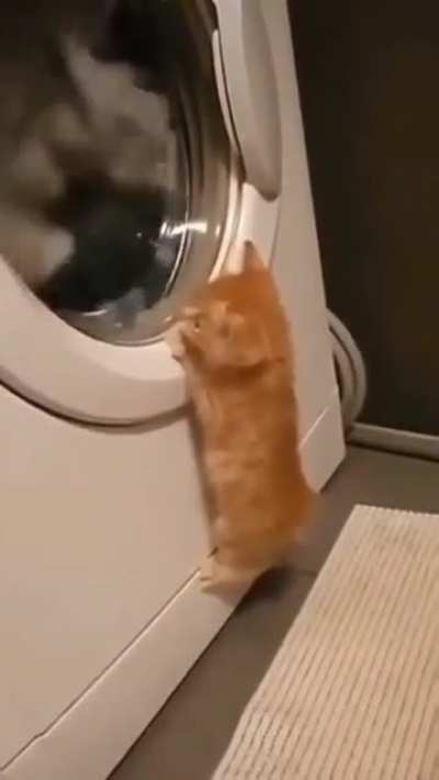 Laundry 🧺👕👖🧦