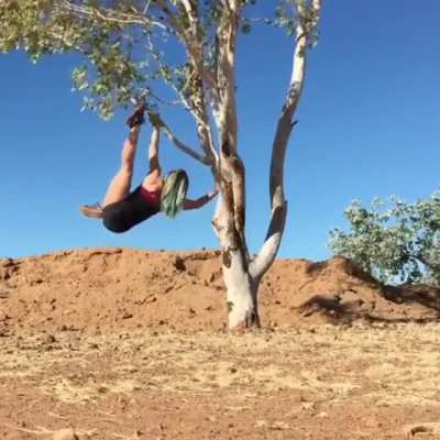Climbing a tree incorrectly