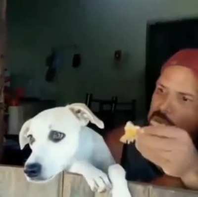 When you enjoy neighbours fighting