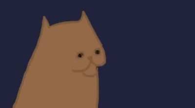 Cats at 3am
