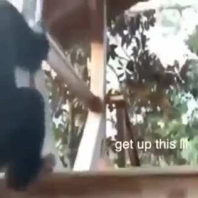 POV : Monkey bro 