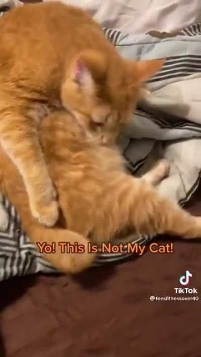 You don't live here son...