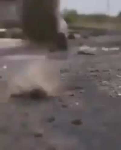 he wants to be en wwe