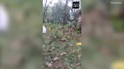 HMFT after I tried climbing up an elephants trunk