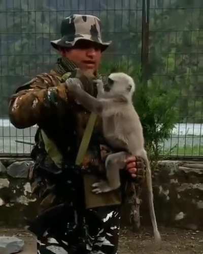 Everyone’s gangta until the monkey takes the gun