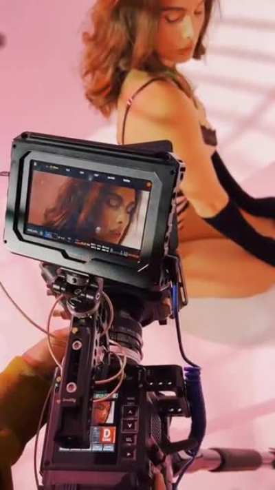 Max Collins