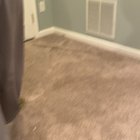 HOW MY DAD GOT RID OF THE BUG