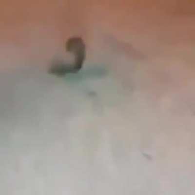 ray sdoing watcky thing what hda hell lol