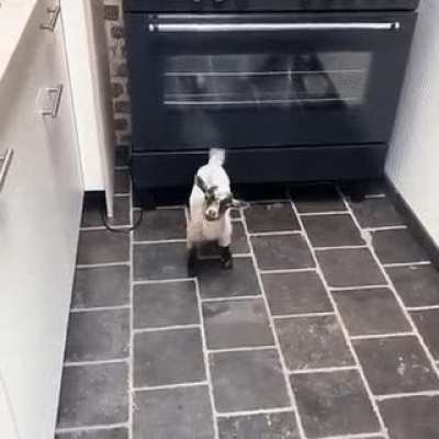 Oh, um... Hello.