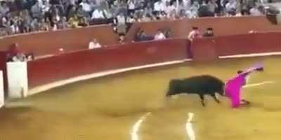 HMFT after I get Yeeted!