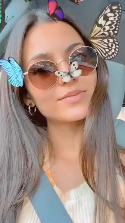Butterflies
