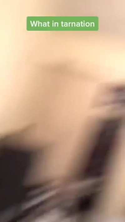 •.°