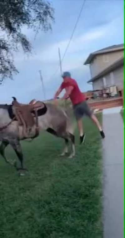 jumping skills combined with horse riding skills