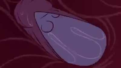 Animation