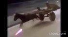 Fast and Furious 31