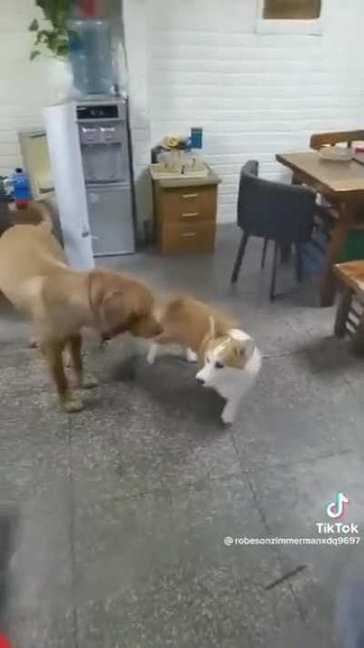 When you argue online vs. in person.
