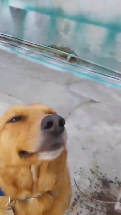 Asi nace una leyenda