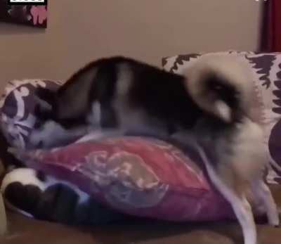 Just wanted to take a nap