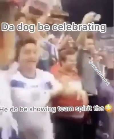 D O G