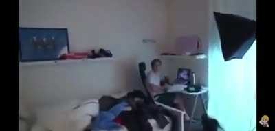 Infelizmente Ronaldo n destrói furrys e sim ama eles