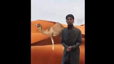 playboi كارتى