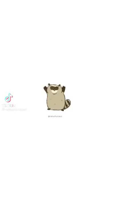 Mapache