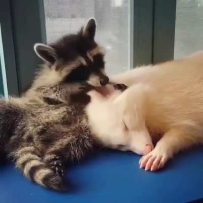ear massage