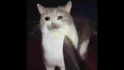:'(