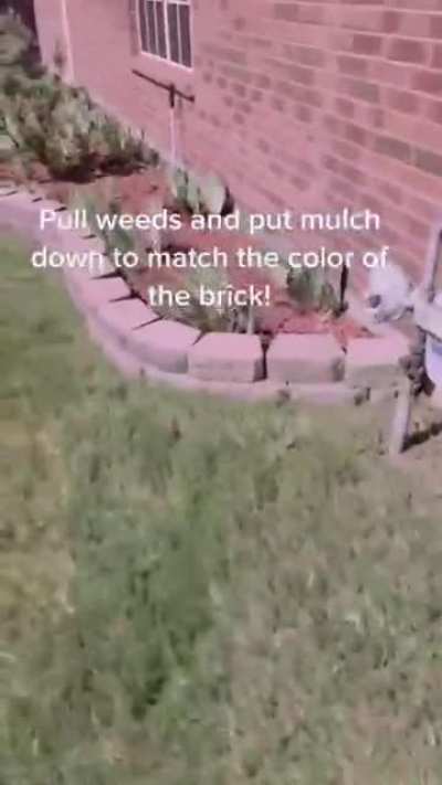 Watch it till the end