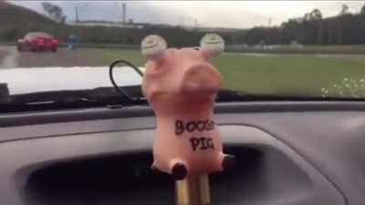 Boost pig