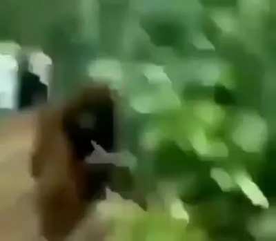 Monker