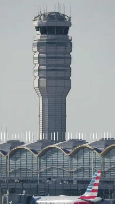 Pilots meowing and barking at each other over radio