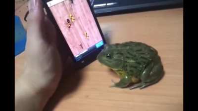 Aa-