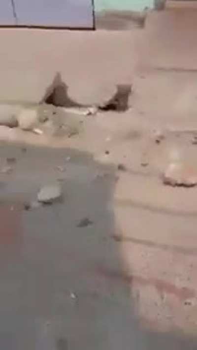 A gentleman speaks: I'm completely anti BJP, I'm completely against Hindu-Muslim division.But today Islamists bearing TMC flags broke my house. This is Islamic majority area & I might have to flee. Even Hindu TMC couldn't stop their party brethren