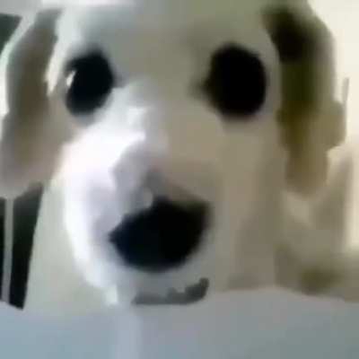 oh god uh fuck