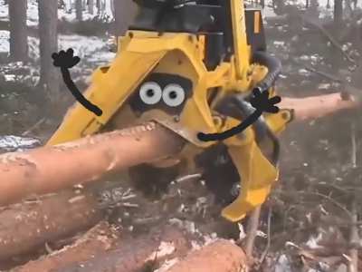 Brutal Penetration